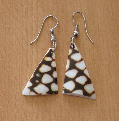 conus shell earring