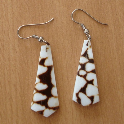 conus shell earring