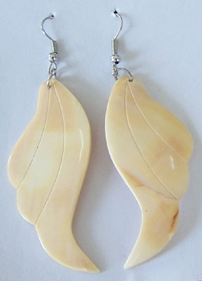 melo ampora shell earring