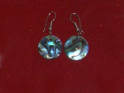 round paua earring