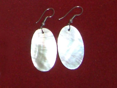stainlessstell mop shell earring