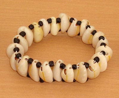 shell brecelet small cowrie