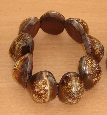 shell brecelet with wood