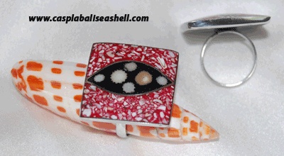 shell ring art