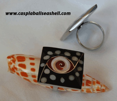 shell jewelry ring indonesia