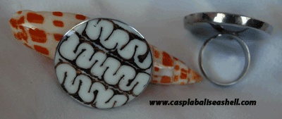 shell and seashell jewelry