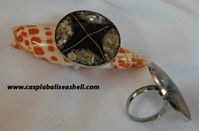 seashell ring with stainless art