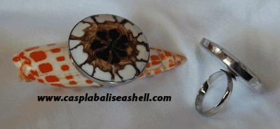 Ring seashell jewelry indonesia