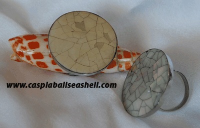 shell RING indonesia