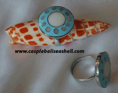shell and seashell ring art