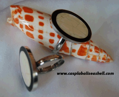 ring shell and seashell art