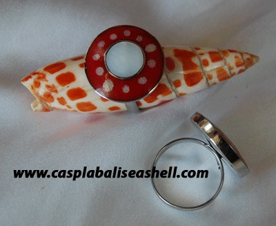 shell stainless for ring art