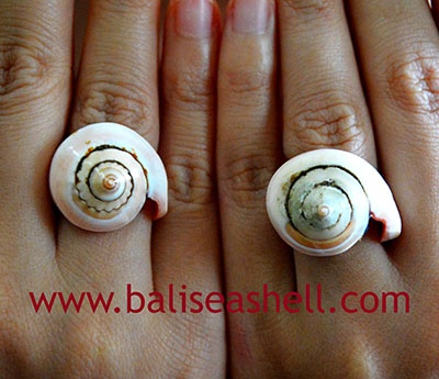 Natural Ring White Shell From Indonesia