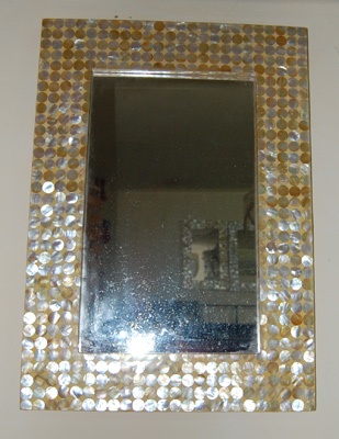 mirror frame mop shell