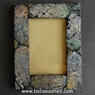 frame big size abalone shell