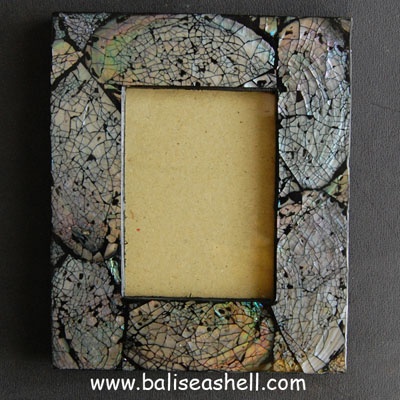seashell frame photo art