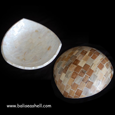 bowl with shell and coconut