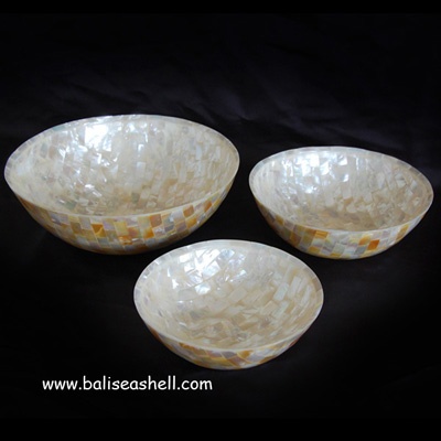 seashell abalone indonesia bowl
