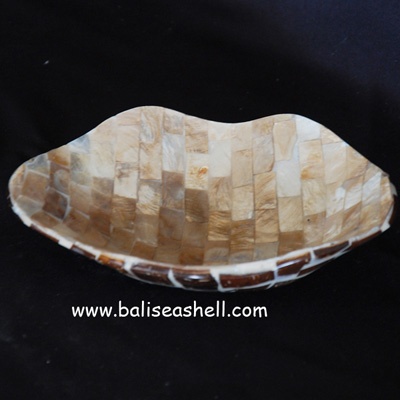 shell coco with abalone art gold color