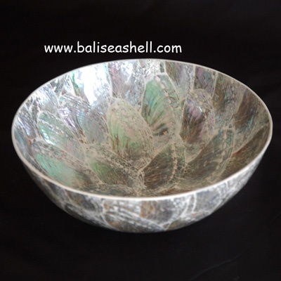 seashell abalone indonesia bowl