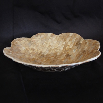 shell bowl with natural shape