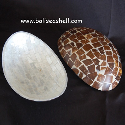sea shell bowl coconut
