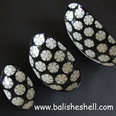 bowl made from shell capis art