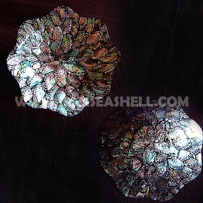 seashell industry art crafts