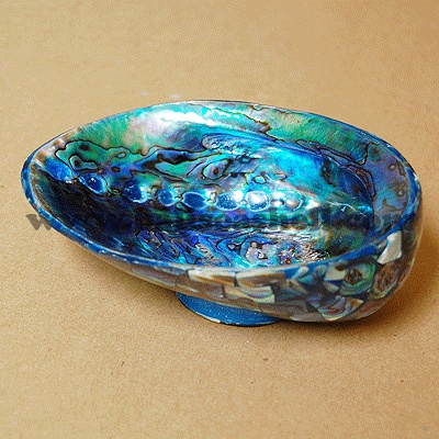 paua soap disc bowl art small