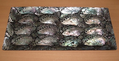 shell try from abalone shell