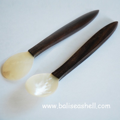 seashell sugar spoon art crafts