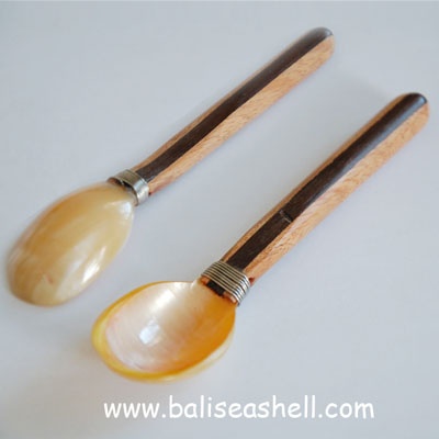 spoon made from turbo shell