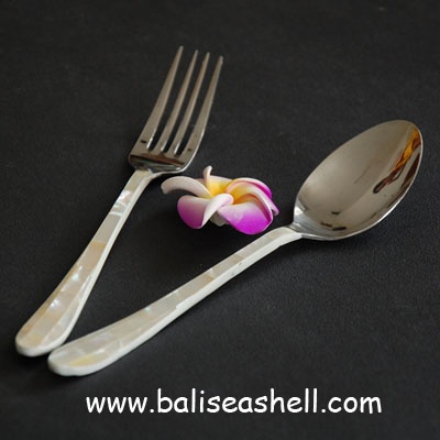 table spoon made from cover shell
