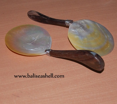 seashell art crafts spoon mop shell