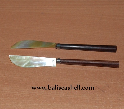 long knife shell with mop shell