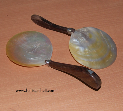 art spoon crafts from seashell
