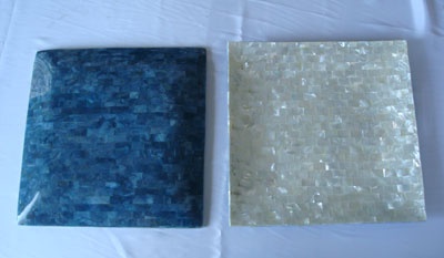 plate mop with blue coral