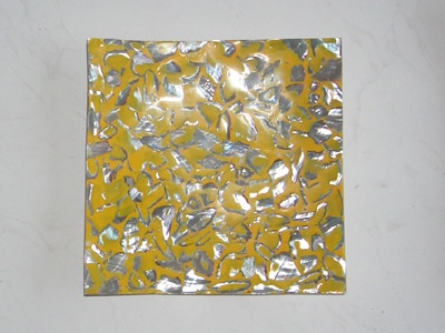astry plate made from trocus cut shell