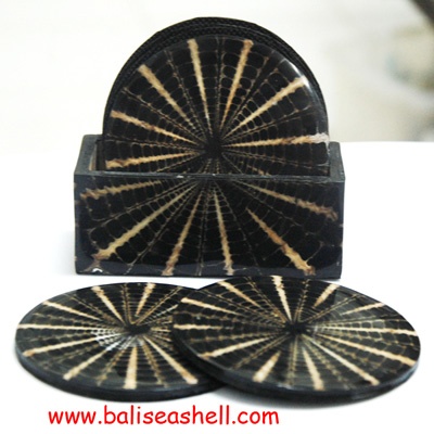 seashell coaster art crafts