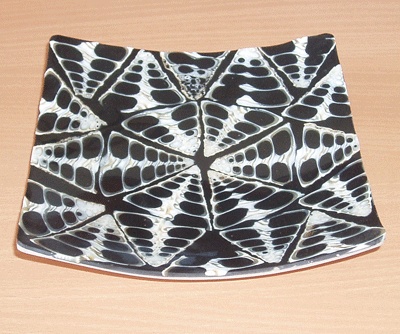 conus mosaic shell