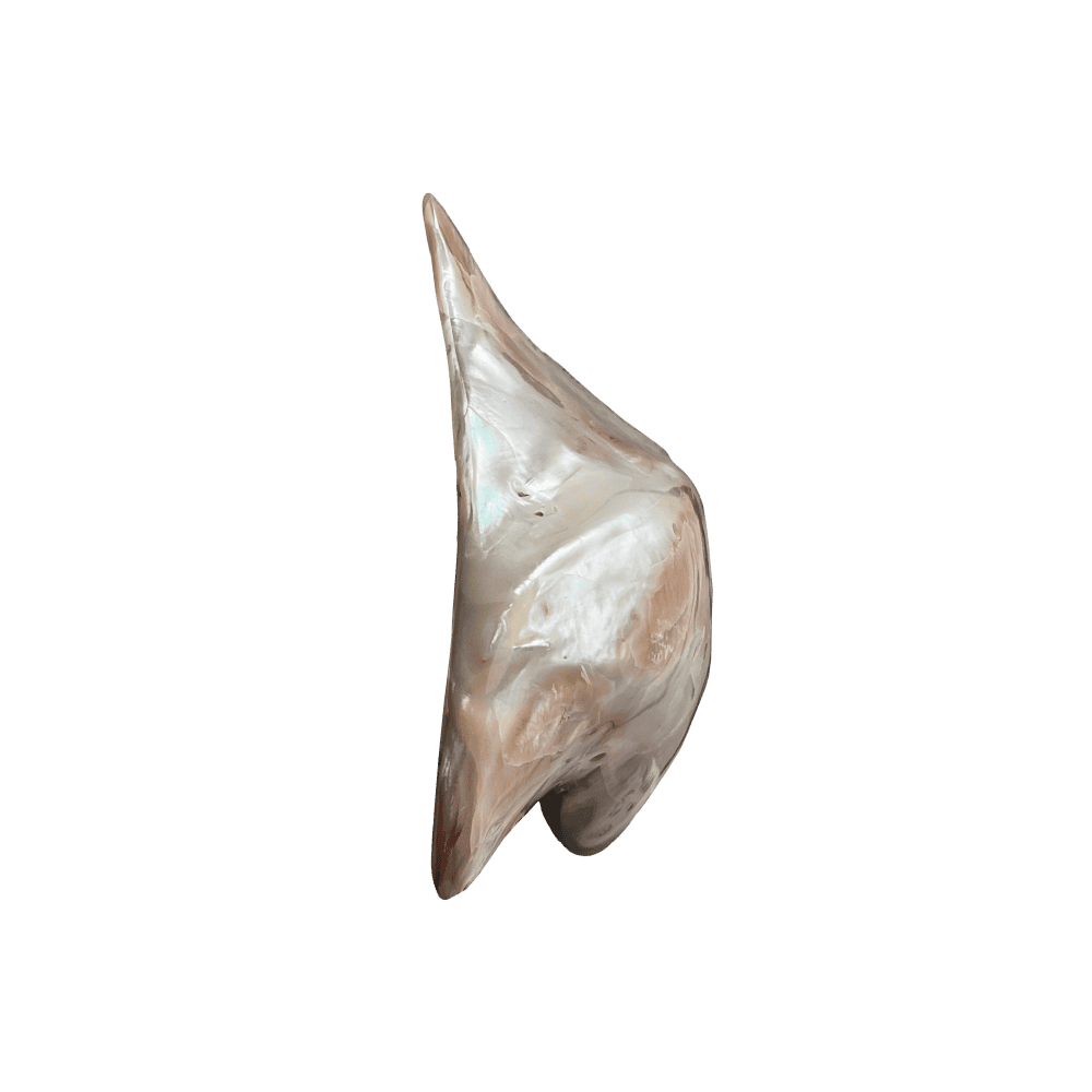 Pteria Penguin