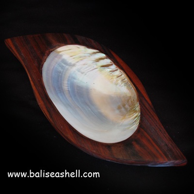 natural disc from shell kupang