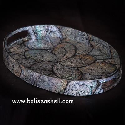 shell trey with difrent colour