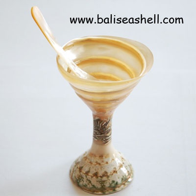 shell glass art natural used shell