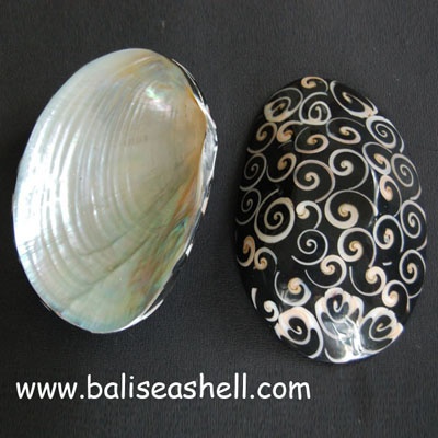 shell disc river shell art