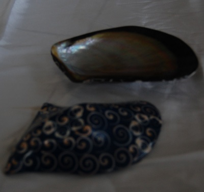 shell disc mabe shell
