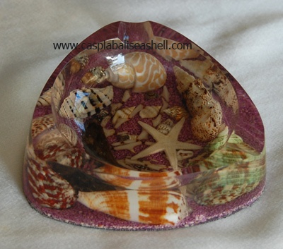 shell disc astry with receine