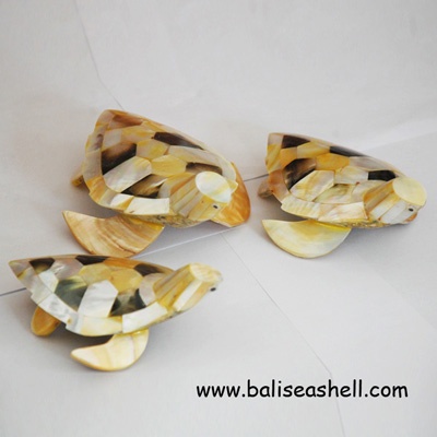 seashell crafts art fish turtle