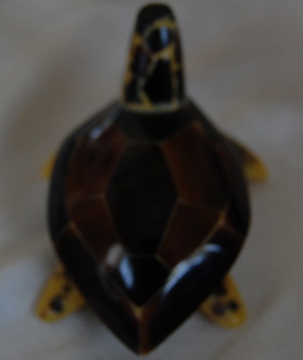 black pearl turle crafts gifts shell