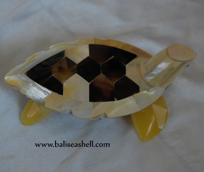 shell turtle crafts art